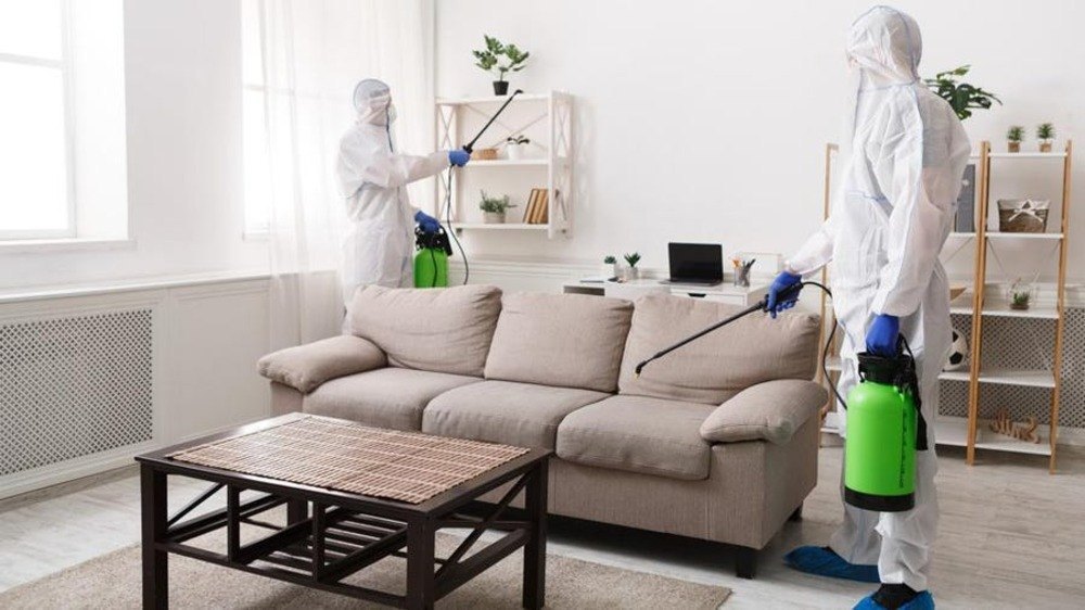 ROOM pest control